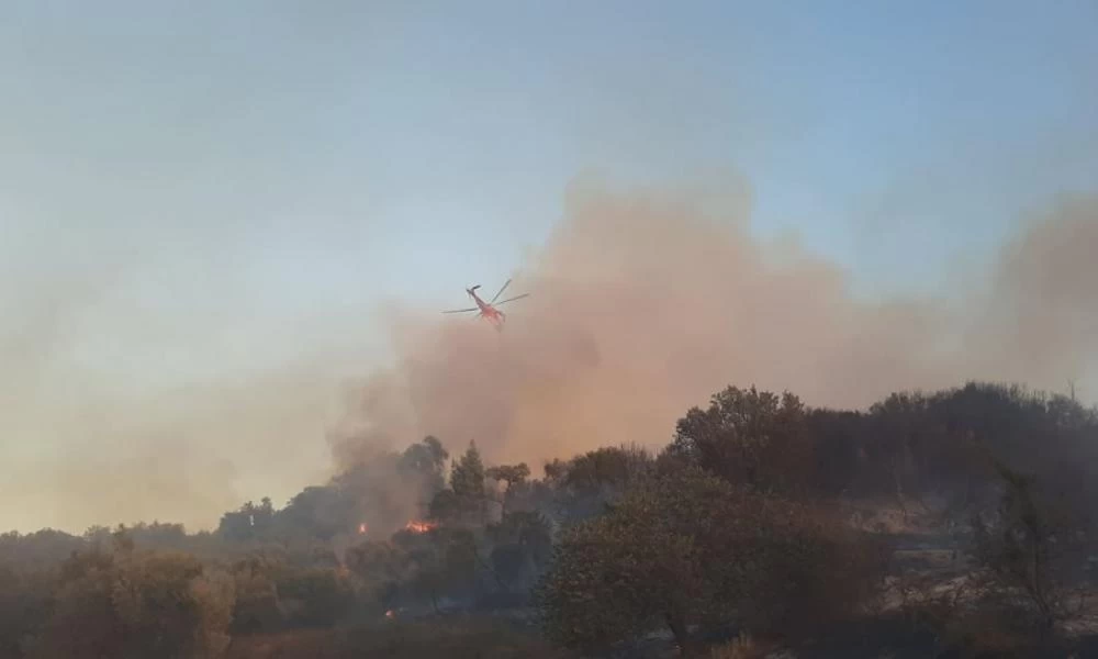 Φωτιά στην Ηλεία, κοντά στο Φράγμα του Πηνειού